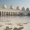 Sheikh Zayed Grand Mosque van Luc Buthker