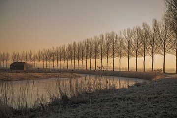 Dordrecht Noorder Elsweg von Photobywim Willem Woudenberg