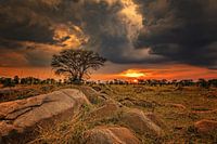 Sunset on the Serengeti