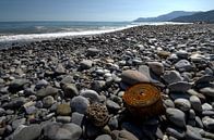 Strand von Ventimiglia von Hans Kool Miniaturansicht