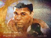 Muhammad Ali van Henk Bouckaert thumbnail