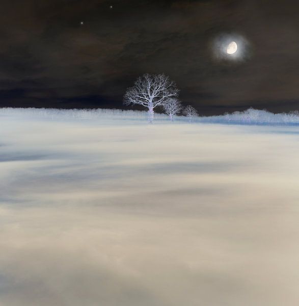 Mysterious landscape by Corinne Welp