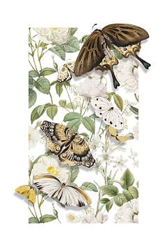 The Spring Butterflies van Marja van den Hurk