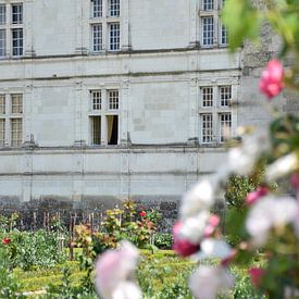 Chateau Villandry framed by roses by Ingrid de Vos - Boom