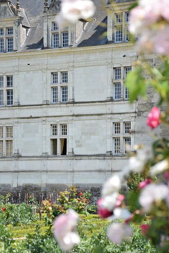 Chateau Villandry omlijst door rozen