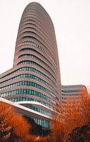 Dou Groningen