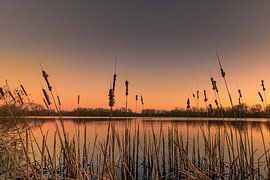 Coucher de soleil sur la vallée du lac Dam à Destelbergen