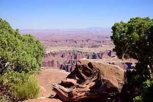 Das ist wirklich ein Grand View