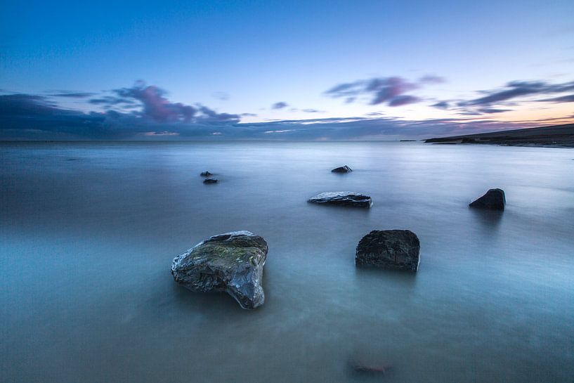 Wierumerwad, Wadden sea, Netherlands by AGAMI Photo Agency