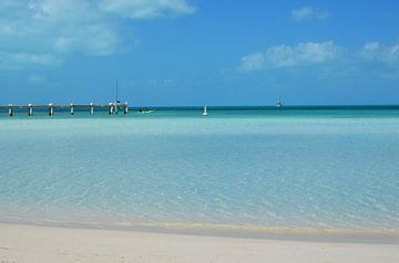 Sapodilla baai, Turks en Caicos Eilanden, het mooiste strand ter wereld van Carolina Reina