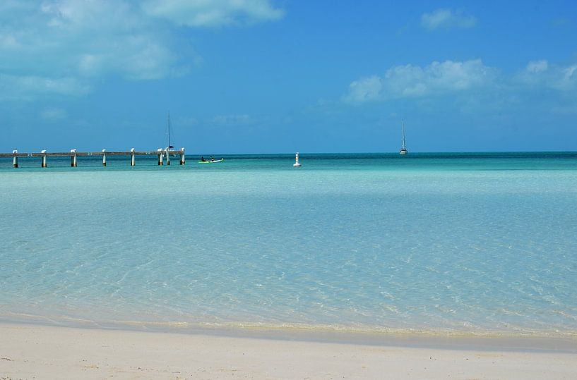 Turquoise Sea in Turks and Caicos Islands - Beach Landscape in Summer by Carolina Reina Photography