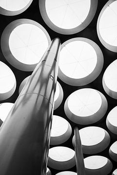 Bollendak van Utrecht Centraal Station van Lisette Goudkade