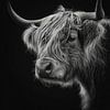 Portret van een schotse hooglander in gedetailleerde monochrome stijl van But First Framing