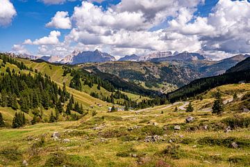 Weids uitzicht Dolomieten Italië van Dafne Vos