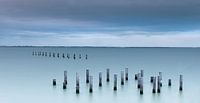 Comacchio