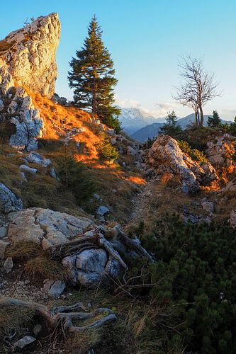 De Ammergauer Alpen: een natuurpark vol rust, ongerepte natuur en indrukwekkende berglandschappen - ideaal voor natuur- en bergfotografie.