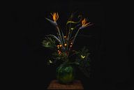 Paradijsvogelbloem in vaas, orange flowers van Corrine Ponsen thumbnail