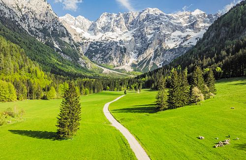 Zgornje Jezersko vallei vanuit de lucht gezien in de lente