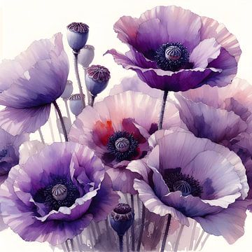paarse papavers van Jessica Berendsen