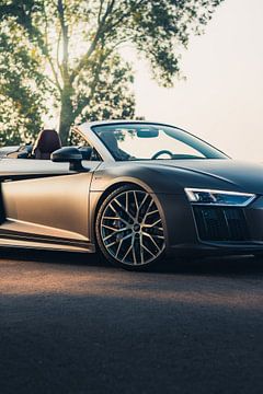Audi R8 V10 in een Adembenemend Groene Landschap tijdens de Zonsondergang van Sebastiaan van 't Hoog