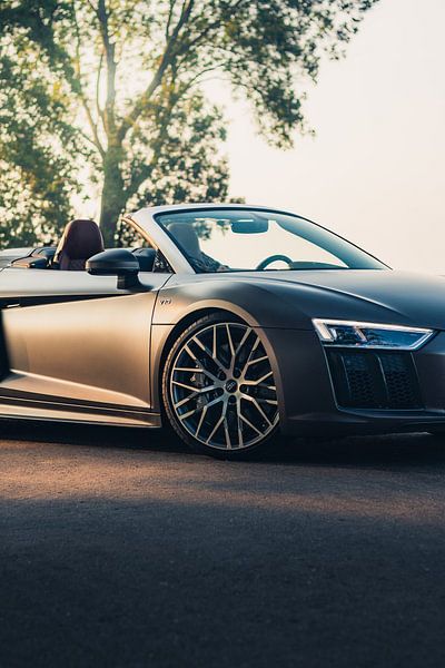 Audi R8 V10 in einer Atemberaubenden Grünen Landschaft während des Sonnenuntergangs von Sebastiaan van 't Hoog