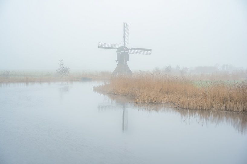 Dutch landscape with fog by Björn van den Berg