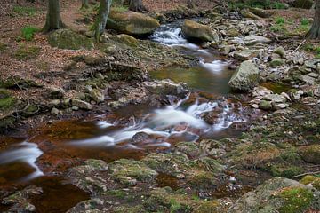 Der Fluss Ilse bei Ilsenburg am Fuße des Brocken im Nationalpark Harz