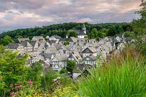 Freudenberg