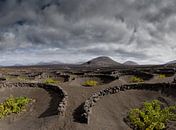 Vignes dans des puits de lave, La Geria, Lanzarote, Espagne. par Rene van der Meer Aperçu