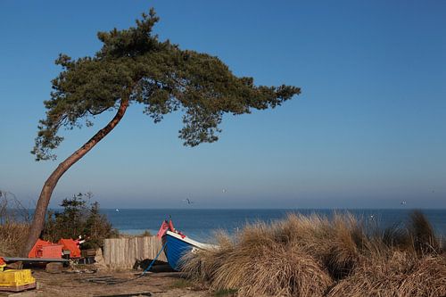 Plage de pêcheurs à Zempin