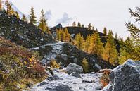 Kurvenreicher Weg in herbstlicher Berglandschaft von Merlijn Arina Photography Miniaturansicht