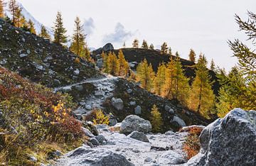Kronkelig pad in herfstig berglandschap | Landschapsfotografie - Chamonix, Frankrijk van Merlijn Arina Photography