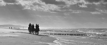 Paarden aan het strand van Domburg van Zeeland op Foto