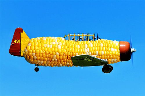 Maiskolben Flugzeug