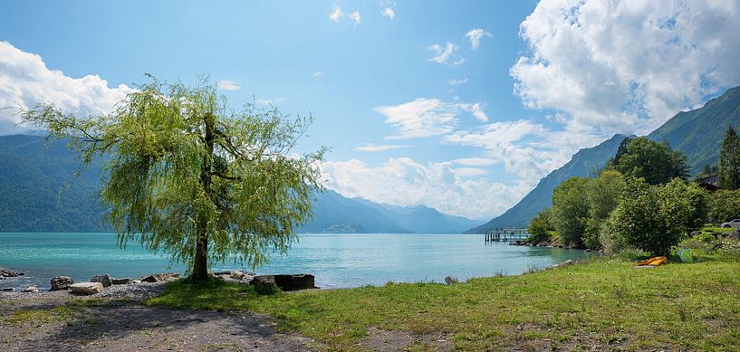 Badestrand mit Weide am Brienzersee Schweiz von SusaZoom