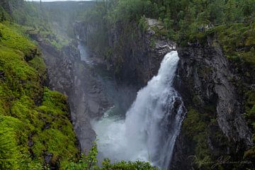 De mooiste canyon van Zweden van Torfinn Johannessen