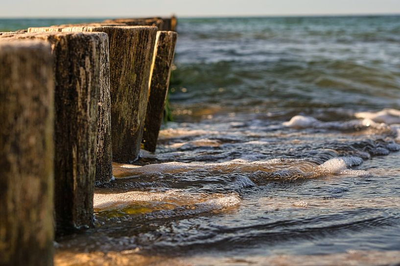 Groynes reaching into the Baltic Sea in Zingst. by Martin Köbsch