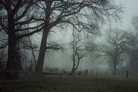 Bomen en mist V van Onbegonnen werk thumbnail