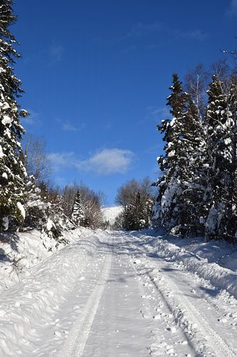 Een landweg in de winter
