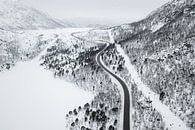 Winding road through a winter landscape by Martijn Smeets thumbnail