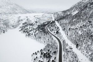 Slingerende weg door een winter landschap van Martijn Smeets