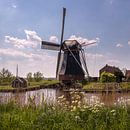 Molen De Biks van Marga Vroom thumbnail