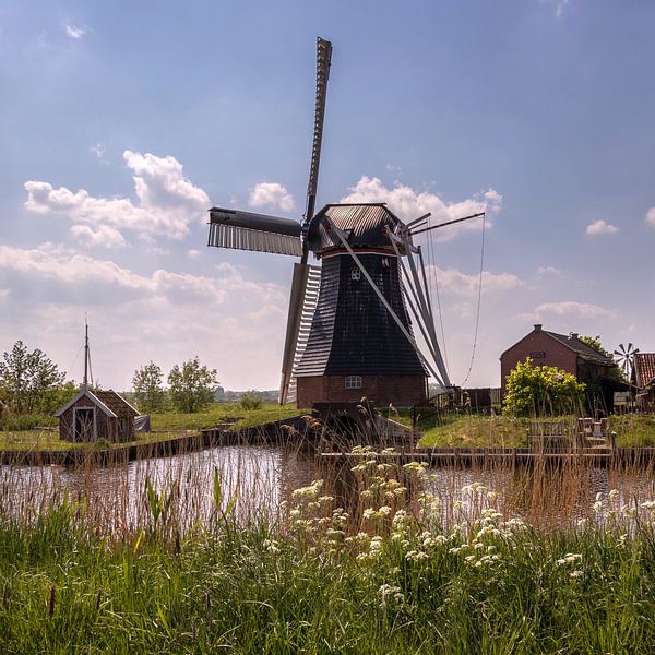 Molen De Biks van Marga Vroom
