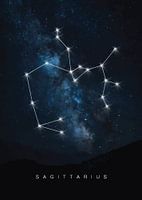 Sagittarius: The Adventurous Archer