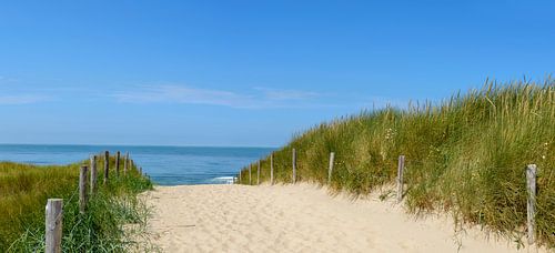 Pad door de duinen naar het strand