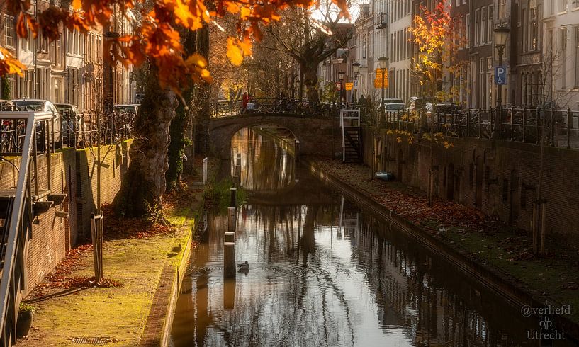 Awesome colors on the New Canal. by Verliefd op Utrecht