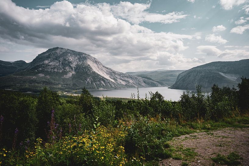 Norwegian mountains by Jens de Goffau