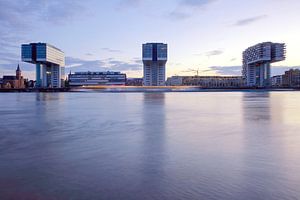 Kranhäuser Köln II