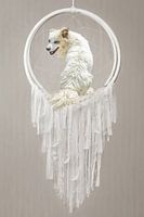Pepe is the dreamcatcher