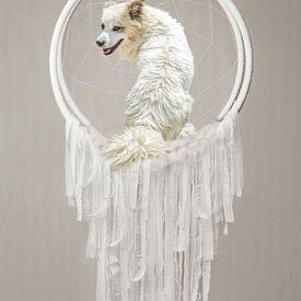 Pepe is the dreamcatcher by Natasja Claessens